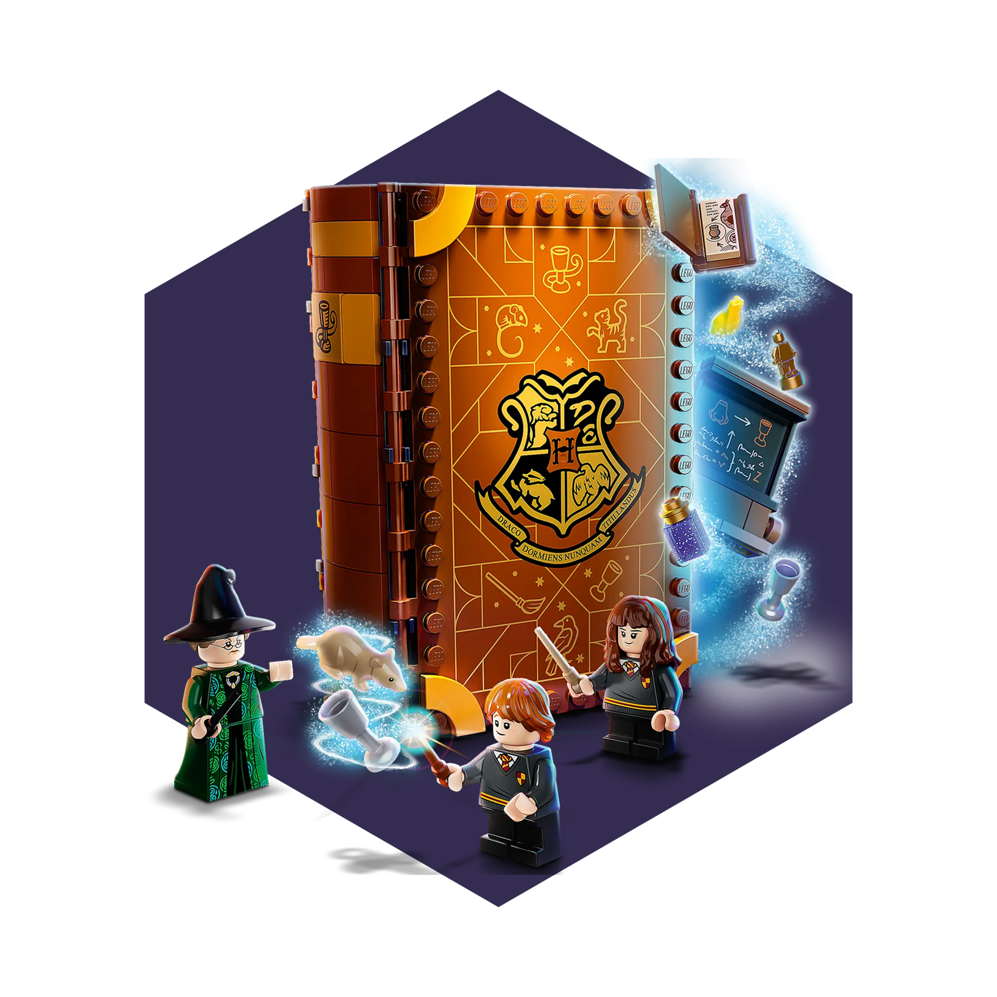 LEGO® Harry Potter 76382 Hogwarts™ Moment: Verwandlungsunterricht